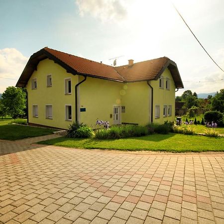 Apartment & Rooms Arija Dreznik Grad Exterior photo